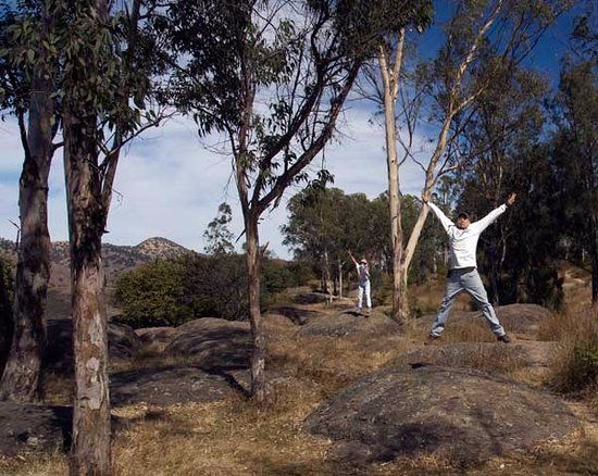 Bosque del Centinela